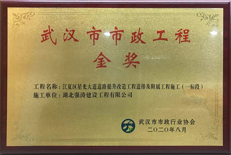 祝贺星光大道项目获得“武汉市市政工程金奖”(图1)